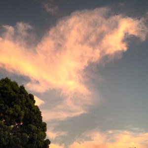 2014-11-22 16.56.21-1