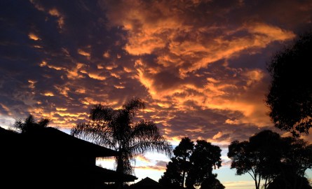 Sunset 2015-01-29 17.24.14