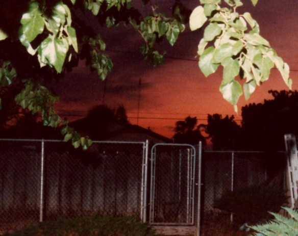 scan-023b_back_yard_delano-medium