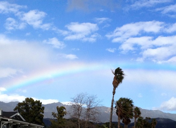 Rainbow in Carp 1.31.2016 Crop1
