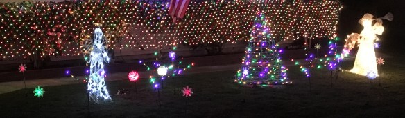 Christmas_Lawn_2018-12-07 a